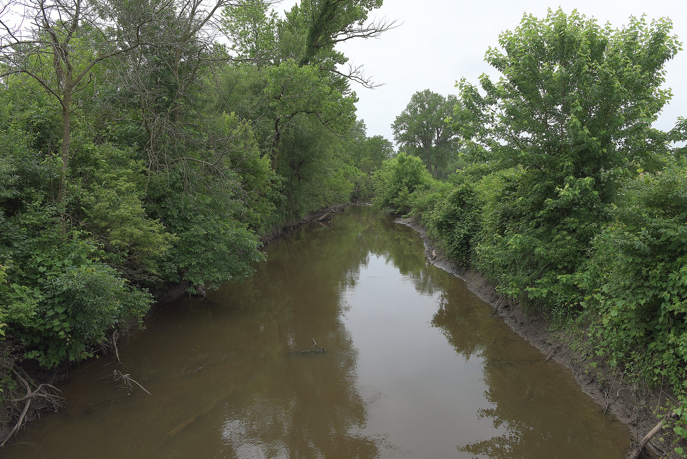 Pond on a farm in Lake County, Indiana - LAND AUCTION - 147+/- ACRES OFFERED IN 3 TRACTS IN LAKE COUNTY, INDIANA